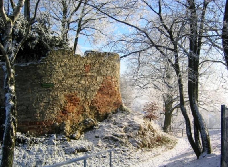 Ferienwohnung Wildkatze Am Edersee Waldeck  Exterior foto